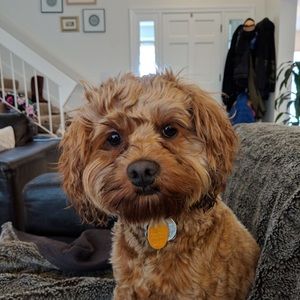 Meet your Posher, Silja